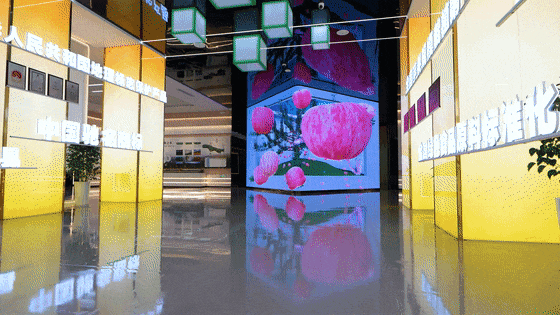 蘋果展廳設計施工-甘肅靜寧蘋果蘋果科創館 蘋果展廳設計施工-甘肅靜寧蘋果蘋果科創館